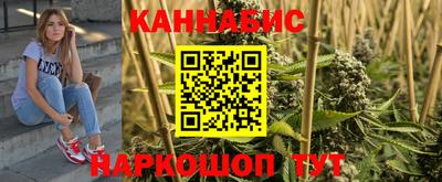 стафф Будённовск